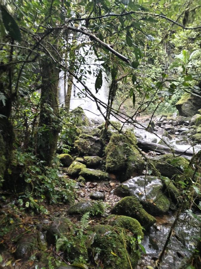 Campestre House Lodge *