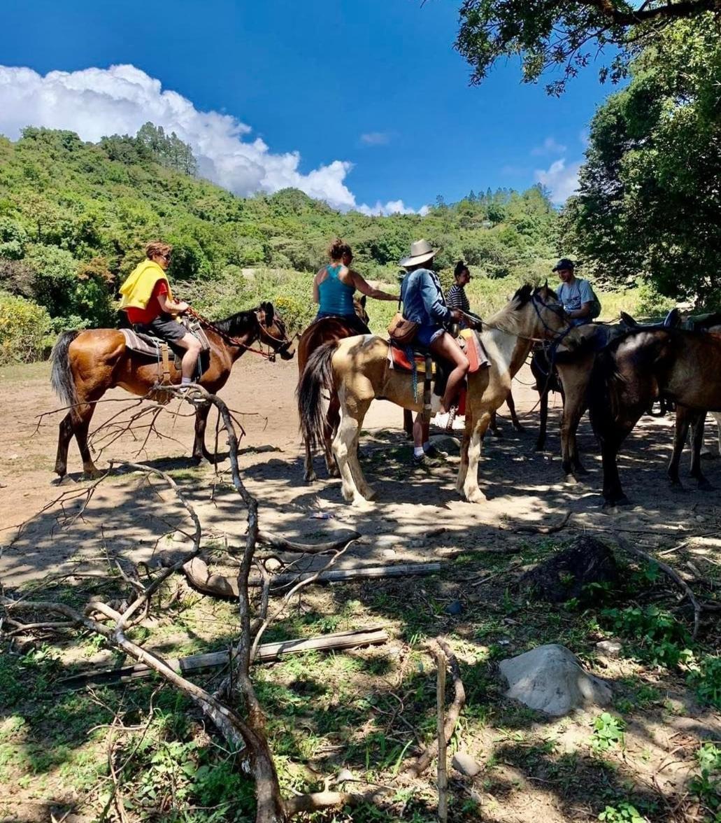 Campestre House Lodge Alto Boquete
